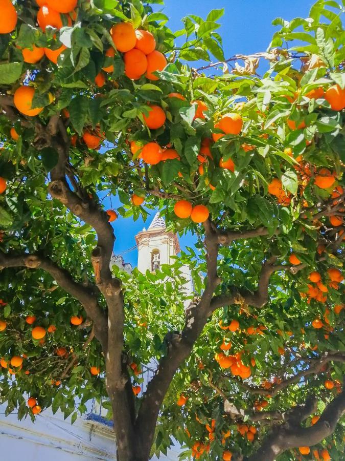 Escape To Estepona Eksteriør billede